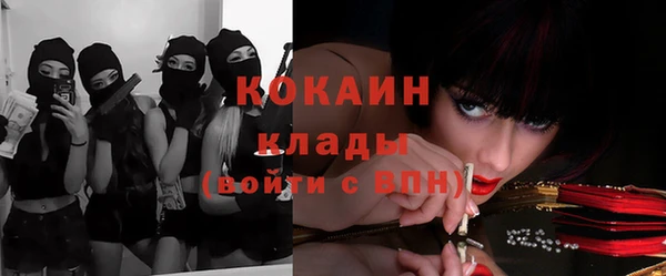 трава Бронницы