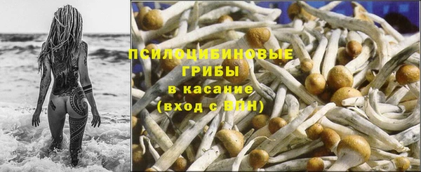 spice Бугульма