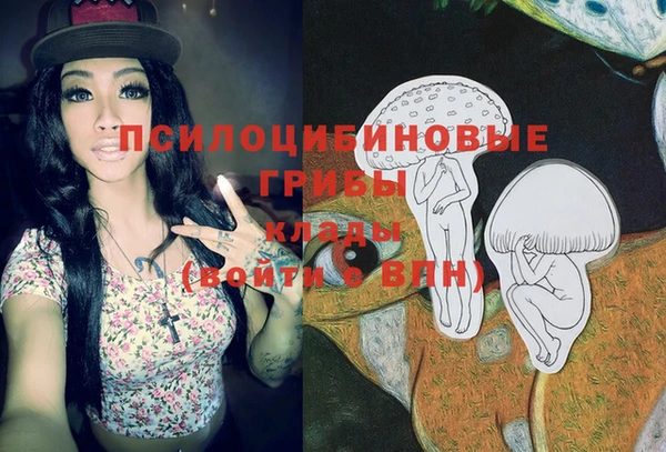 трава Бронницы