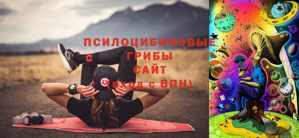 кокс Бородино