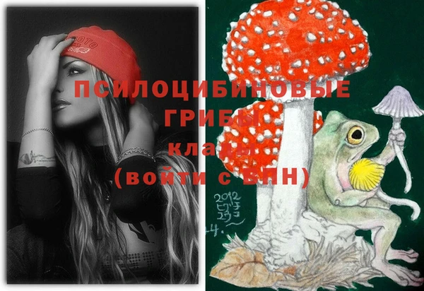 spice Бугульма