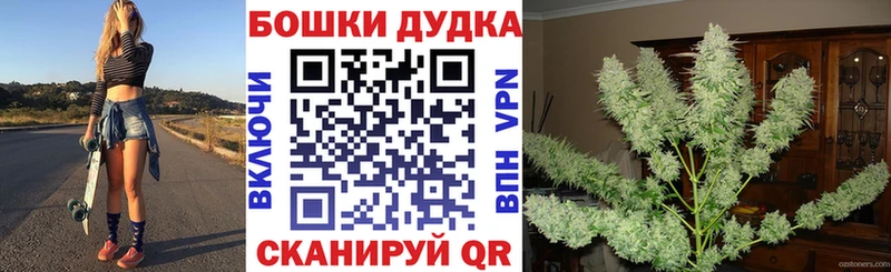 Шишки марихуана Bruce Banner  Купить закладки  Аша 